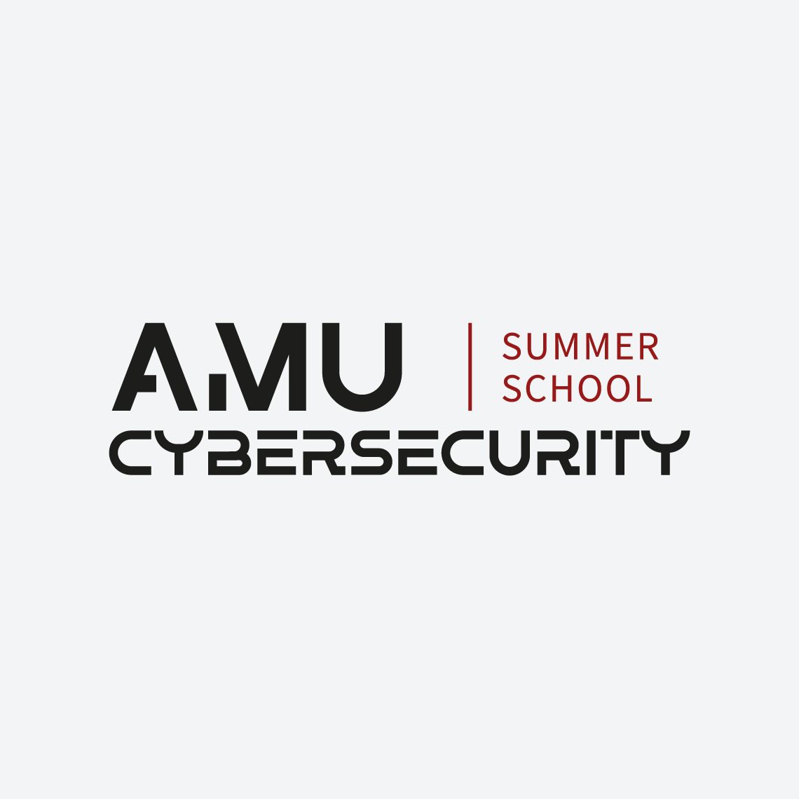 AMU Cybersecurity school